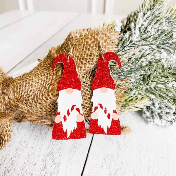 gnome earrings