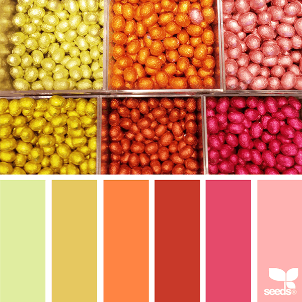 Color Set  Sunset color palette, Seeds color, Design seeds color